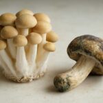 しめじの白いふわふわは食べられる？カビとの見分け方と安全に食べる判断ポイント