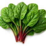 ほうれん草の茎が赤い理由は？赤みが出る原因をわかりやすく解説