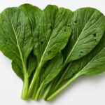小松菜が虫食いでも食べられる？見分け方と注意点をわかりやすく解説