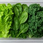 葉物野菜は冷蔵庫で何日もつ？種類別の目安と長持ちさせるコツを解説